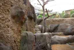kago hammerschmidt zoo chester 14