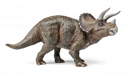 kago hammerschmidt triceratops